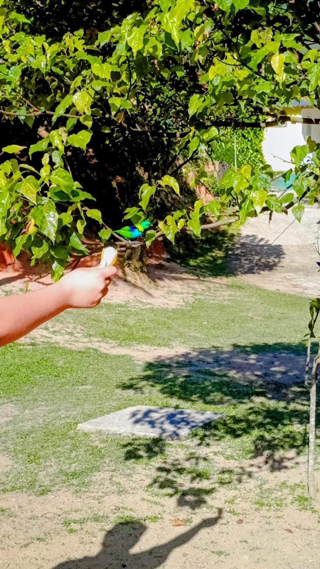 Pousada Casa Da Montanha سانا المظهر الخارجي الصورة